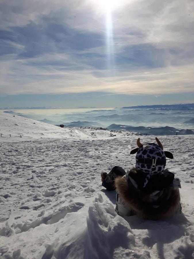 Kop Milmari P32 Daire Kopaonik Dış mekan fotoğraf