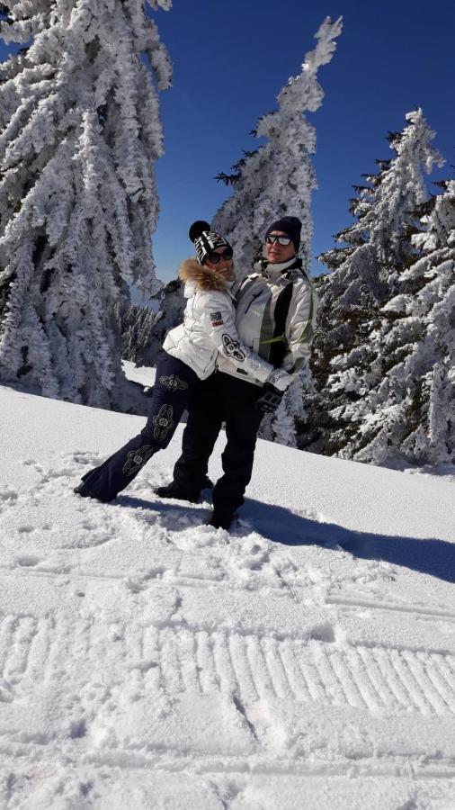 Kop Milmari P32 Daire Kopaonik Dış mekan fotoğraf